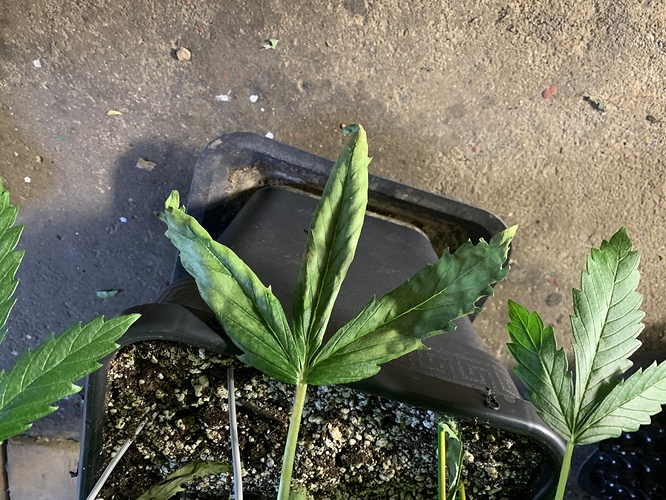 Growreport Bild 12