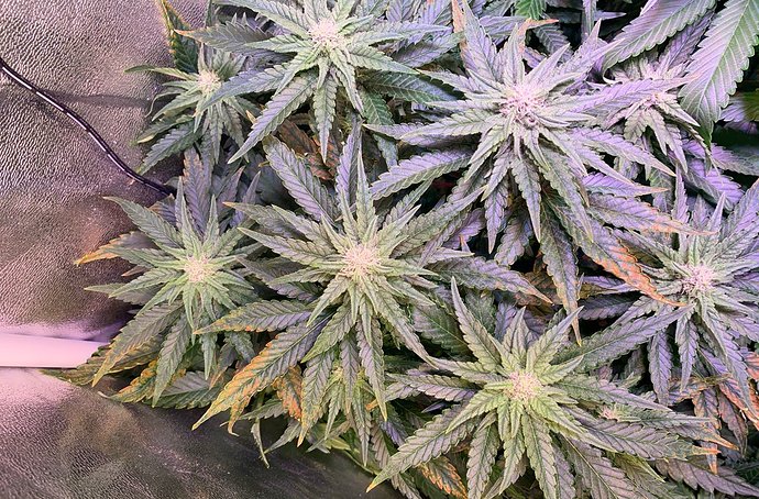Growreport Bild 16