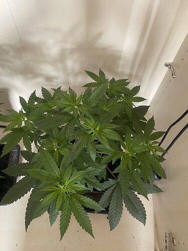 Growreport Bild 12