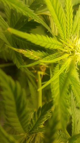 Growreport Bild 10