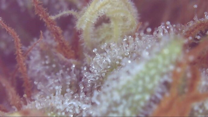Growreport Bild 9