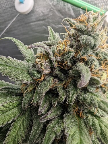 Growreport Bild 10