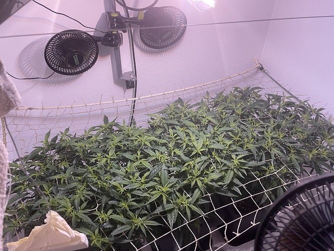 Growreport Bild 5
