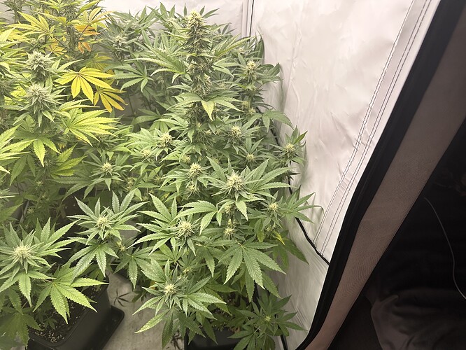 Growreport Bild 11