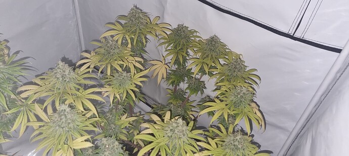 Growreport Bild 8