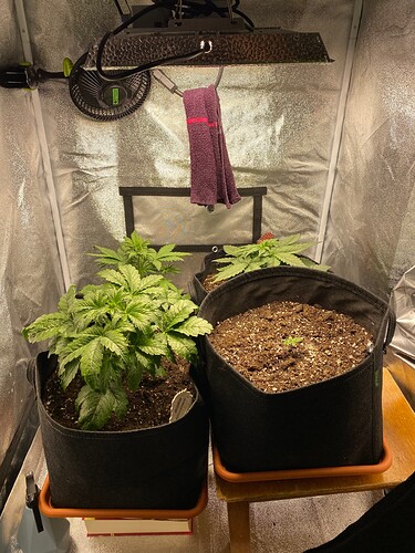 Growreport Bild 9