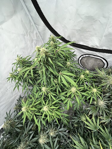 Growreport Bild 17
