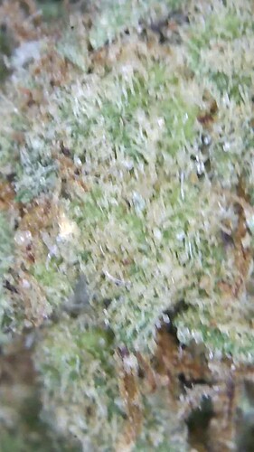 Growreport Bild 14