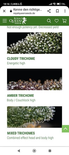 Screenshot_2023-06-08-18-16-21-210_com.android.chrome