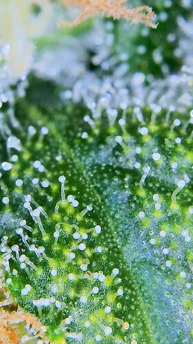 2023_01_13_11_58_53_899