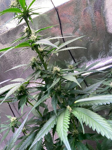 Growreport Bild 13