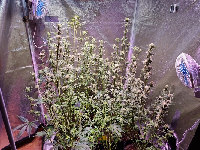 Growreport Bild 7