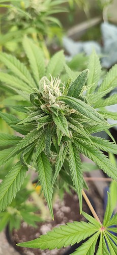 Growreport Bild 2