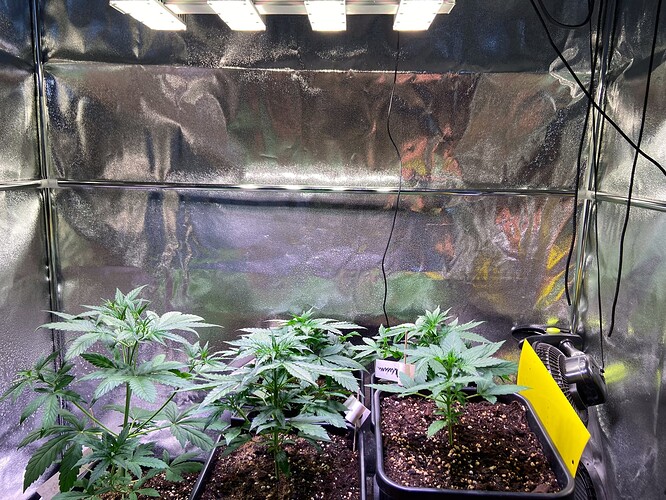 Growreport Bild 7