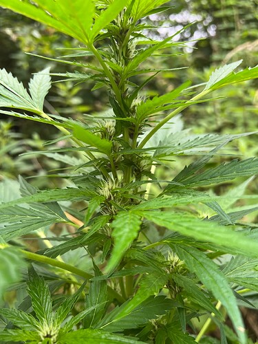 Growreport Bild 6