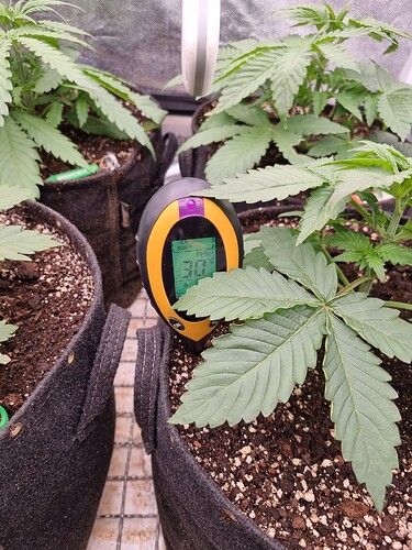 Growreport Bild 1