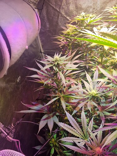 Growreport Bild 10