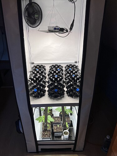 Growreport Bild 4