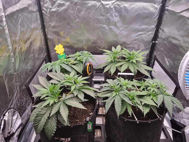 Growreport Bild 22