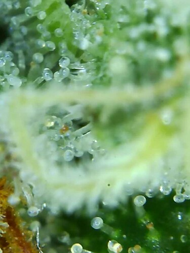 Growreport Bild 17
