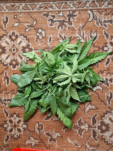 Growreport Bild 13