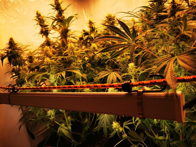 Growreport Bild 8
