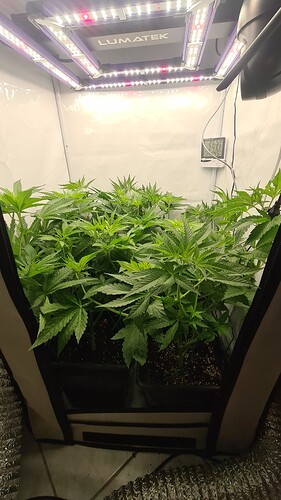 Growreport Bild 3
