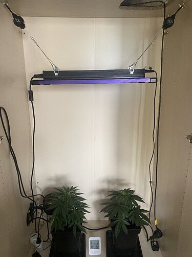 Growreport Bild 7