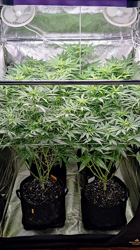 Growreport Bild 19