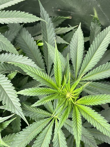 Growreport Bild 9