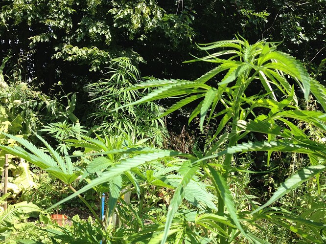 Growreport Bild 22