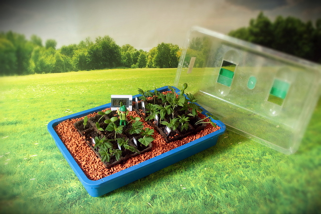 Growreport Bild 8