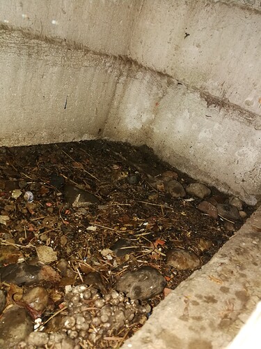 Growreport Bild 131