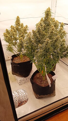 Growreport Bild 10