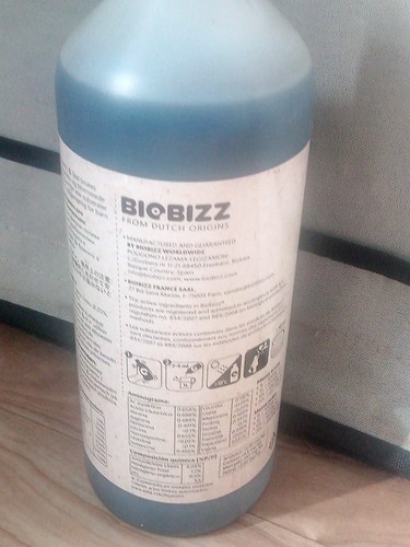 Growreport Bild 67