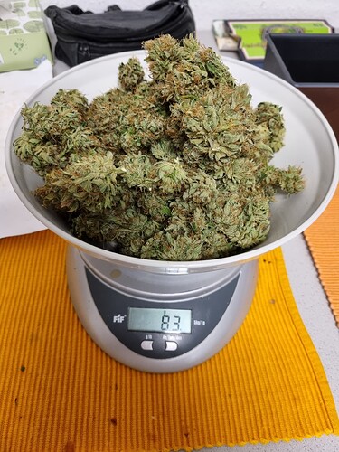 Growreport Bild 12