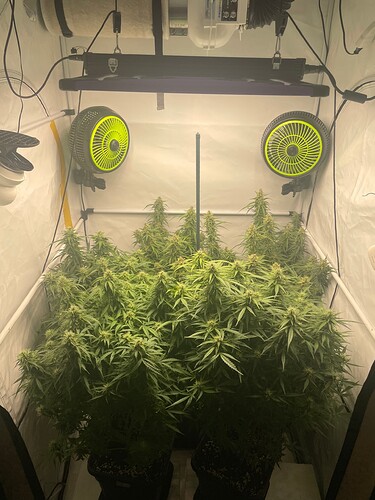 Growreport Bild 3