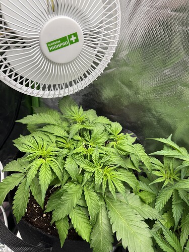 Growreport Bild 21