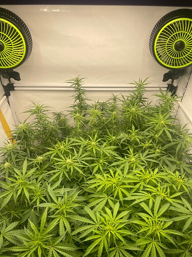 Growreport Bild 24