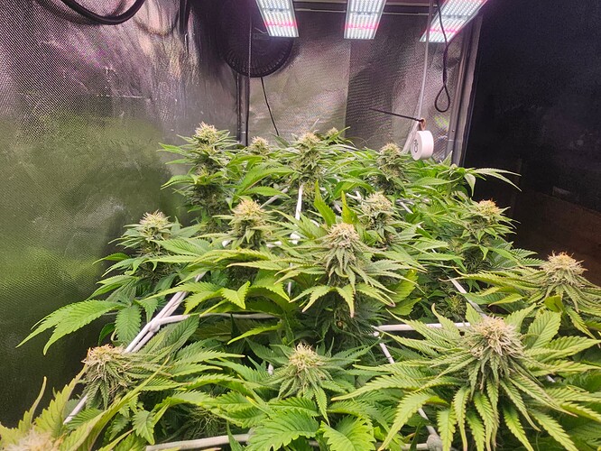 Growreport Bild 9