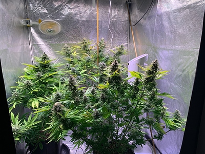 Growreport Bild 22