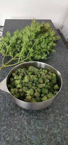 Growreport Bild 2