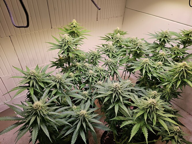 Growreport Bild 23