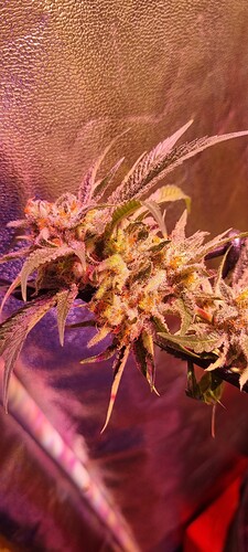Growreport Bild 23