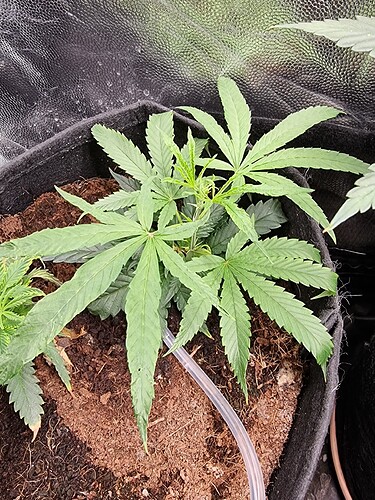 Growreport Bild 10