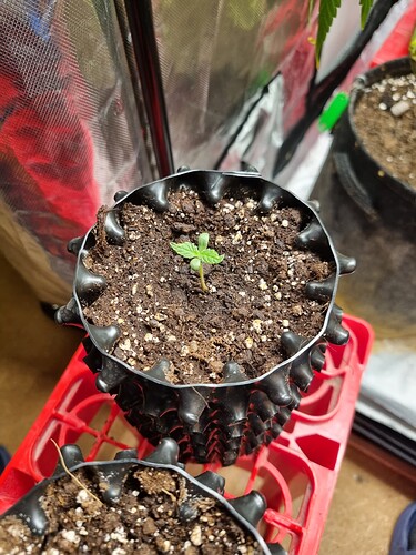 Growreport Bild 25