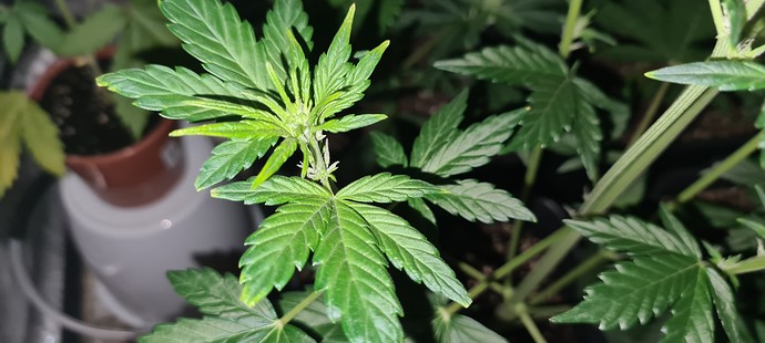 Growreport Bild 20