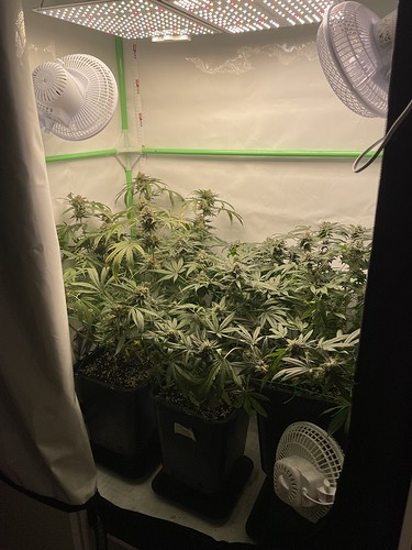 Growreport Bild 12
