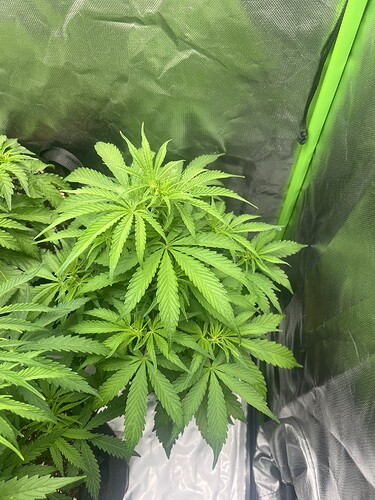 Growreport Bild 24