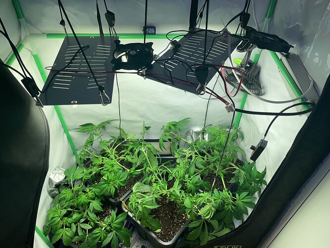 Growreport Bild 18